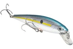 Strike King KVD 200 Series 4 1/2 Inch Suspending Medium Jerkbait 26 Strike King KVD 200 Series 4 1/2 Inch Suspending Medium Jerkbait -Fish Edge Store 12699182628919