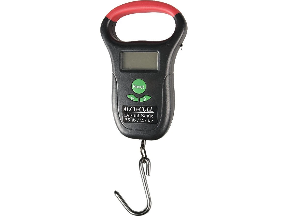 Accu-Cull Digital Scale 1 Accu-Cull Digital Scale