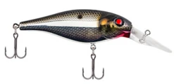 Berkley Bad Shad Medium Diving Crankbait 22 Berkley Bad Shad Medium Diving Crankbait -Fish Edge Store 13945542541367