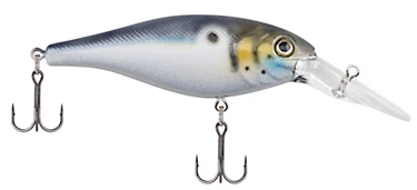 Berkley Bad Shad Medium Diving Crankbait 4 Berkley Bad Shad Medium Diving Crankbait - Image 4