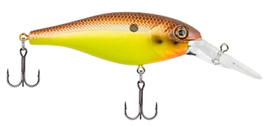 Berkley Bad Shad Medium Diving Crankbait 5 Berkley Bad Shad Medium Diving Crankbait - Image 5
