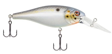 Berkley Bad Shad Medium Diving Crankbait 15 Berkley Bad Shad Medium Diving Crankbait - Image 15