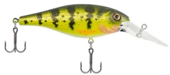 Berkley Bad Shad Medium Diving Crankbait 39 Berkley Bad Shad Medium Diving Crankbait -Fish Edge Store 13945543327799