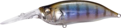 Megabass IXI Shad Type 3 Medium Diving Crankbait 13 Megabass IXI Shad Type 3 Medium Diving Crankbait -Fish Edge Store 14366628216887