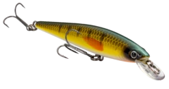 Strike King KVD 100 Series Suspending Shallow Jerkbait -Fish Edge Store 32272586637401