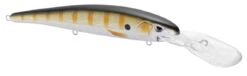 SPRO MadEye Minnow 120 Deep Diving Walleye Trolling Lure 30 SPRO MadEye Minnow 120 Deep Diving Walleye Trolling Lure -Fish Edge Store 32339518947417
