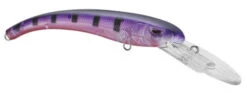SPRO MadEye Diver 85 Extra Deep Diving Crankbait -Fish Edge Store 32339524616281