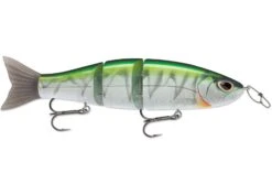 Storm Arashi Swimmer 7 Inch Hard Body Swimbait 14 Storm Arashi Swimmer 7 Inch Hard Body Swimbait -Fish Edge Store 39261122330713