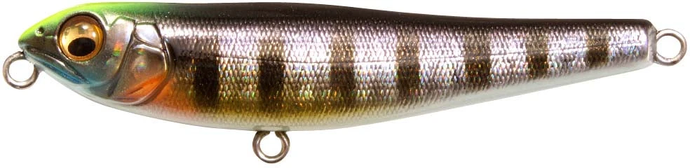 Megabass Dog-X JR Coayu (BFS) 7 Megabass Dog-X JR Coayu (BFS) - Image 7
