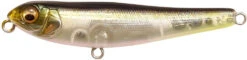 Megabass Dog-X JR Coayu (BFS) 24 Megabass Dog-X JR Coayu (BFS) -Fish Edge Store 40555226890329
