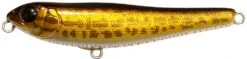 Megabass Dog-X JR Coayu (BFS) 29 Megabass Dog-X JR Coayu (BFS) -Fish Edge Store 40555226988633