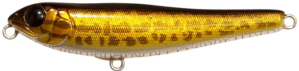 Megabass Dog-X JR Coayu (BFS) 14 Megabass Dog-X JR Coayu (BFS) - Image 14