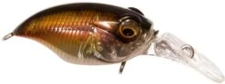 Megabass Griffon MR-X (BFS) Medium Diving Crankbait - 1.5 Inches 16 Megabass Griffon MR-X (BFS) Medium Diving Crankbait - 1.5 Inches -Fish Edge Store 40555262607449