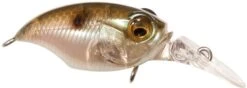 Megabass Griffon MR-X (BFS) Medium Diving Crankbait - 1.5 Inches 19 Megabass Griffon MR-X (BFS) Medium Diving Crankbait - 1.5 Inches -Fish Edge Store 40555262705753