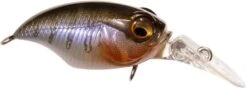 Megabass Griffon MR-X (BFS) Medium Diving Crankbait - 1.5 Inches 22 Megabass Griffon MR-X (BFS) Medium Diving Crankbait - 1.5 Inches -Fish Edge Store 40555262836825