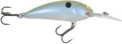 Northland Tackle Rumble Shad Medium Diving Crankbait -Fish Edge Store 41355316232280
