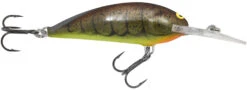 Northland Tackle Rumble Shad Medium Diving Crankbait -Fish Edge Store 41355316494424