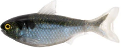 LIVETARGET Unrigged Shad - 5.5 Inch -Fish Edge Store 42696009744472