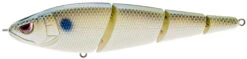 SPRO Sashimmy Swimmer 140 - 5.5 Inch 17 SPRO Sashimmy Swimmer 140 - 5.5 Inch -Fish Edge Store 42702161412184