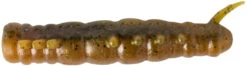 Rebel Cata Crawler Soft Plastic Caterpillar Kit - 2 Inch