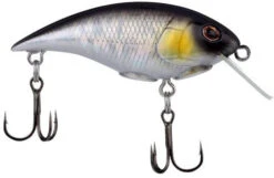Berkley Shallow Money Badger Crankbait - 2.6 Inch -Fish Edge Store 43200266436696