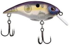 Berkley Shallow Money Badger Crankbait - 2.6 Inch -Fish Edge Store 43200266535000