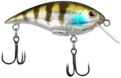 Berkley Shallow Money Badger Crankbait - 2.6 Inch -Fish Edge Store 43200266666072