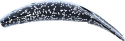 Yakima Bait Spinfish - 2.5 Inch 39 Yakima Bait Spinfish - 2.5 Inch -Fish Edge Store 43257303826520