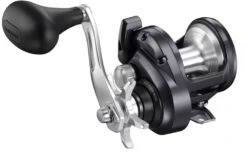 Shimano Torium A Conventional Reel