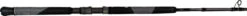 Phenix Redeye Saltwater Casting Rods -Fish Edge Store 43300700455000