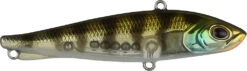 Berkley Ripfish Rip Bait - 2.75 Inch 30 Berkley Ripfish Rip Bait - 2.75 Inch -Fish Edge Store 43332832198744