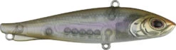 Berkley Ripfish Rip Bait - 2.75 Inch 32 Berkley Ripfish Rip Bait - 2.75 Inch -Fish Edge Store 43332832264280