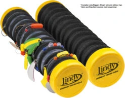 Lindy Rigger Leader Organizer