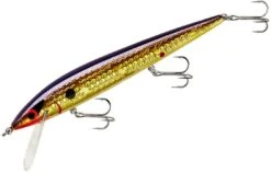 Smithwick Elite 8 Rogue 4 1/2 Inch Suspending Jerkbait -Fish Edge Store ADR4213