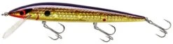 Smithwick Elite 8 Rogue 4 1/2 Inch Suspending Jerkbait -Fish Edge Store ADR4213 427dcaa6 8bc9 4645 9527 5e6203b63ad1