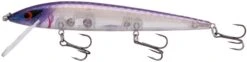 Smithwick Elite 8 Rogue 4 1/2 Inch Suspending Jerkbait -Fish Edge Store ADR4279