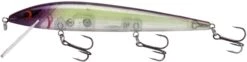 Smithwick Elite 8 Rogue 4 1/2 Inch Suspending Jerkbait -Fish Edge Store ADR4282