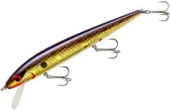Smithwick Perfect 10 Rogue 5 1/2 Inch Deep Diving Suspending Jerkbait -Fish Edge Store ADR5213