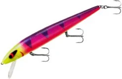 Smithwick Perfect 10 Rogue 5 1/2 Inch Deep Diving Suspending Jerkbait -Fish Edge Store ADR5291