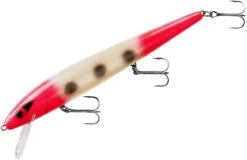 Smithwick Perfect 10 Rogue 5 1/2 Inch Deep Diving Suspending Jerkbait -Fish Edge Store ADR5293