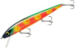 Smithwick Perfect 10 Rogue 5 1/2 Inch Deep Diving Suspending Jerkbait -Fish Edge Store ADR5296