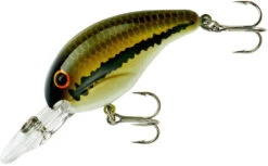 Bandit 200 Series Medium Diving Crankbait -Fish Edge Store BDT201