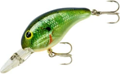 Bandit 200 Series Medium Diving Crankbait -Fish Edge Store BDT2B38