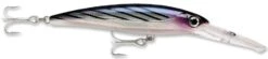 Rapala X-Rap Magnum 15 Big Game Slash Bait -Fish Edge Store Bonito 82ea1062 093f 4bc7 9acb 241dea77257f