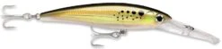 Rapala X-Rap Magnum 15 Big Game Slash Bait -Fish Edge Store Bunker 8b9dd726 694e 41a9 997e 2323dcbbe37b
