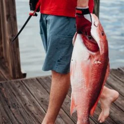 Bubba Tapered Flex Fillet Knife - 9 Inch -Fish Edge Store LF 1 55ff81f2 477a 44d9 962a 5ef3b7610e6f