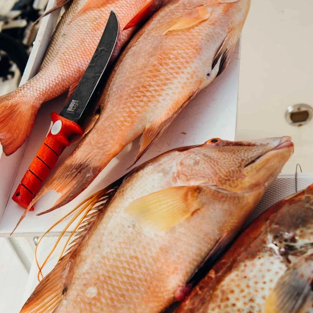 Bubba Flex Fillet Knife - 12 Inch 5 Bubba Flex Fillet Knife - 12 Inch - Image 5