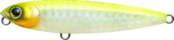 Yo-Zuri 3DR-X Pencil Topwater Walker 75mm - 3 Inch -Fish Edge Store MATTE 20GHOST 20PEARL 20CHART 20BACK 34f0e144 f655 4064 b2cb 7300c46c4bf7