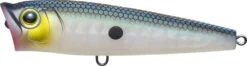 Yo-Zuri 3DR-X Topwater Popper 65mm - 2.625 Inch -Fish Edge Store MATTE 20GREEN 20GIZZARD 20SHAD 1ce43e0b 1afc 438a 8d35 e925ed97056a