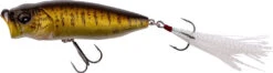 Megabass Respect Series "Small Mouth Bass" - September 2025 Release -Fish Edge Store MB 0000756420 Megabass Popmax Topwater Popper e2f20817 425c 43f6 9029 56df281eaa0f